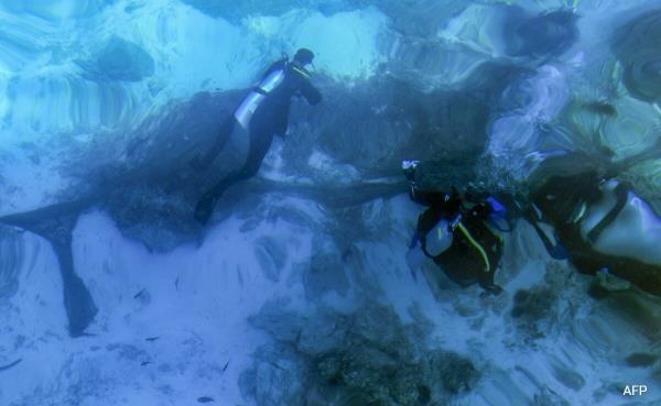 Volunteer divers remove fishing nets from coral reefs at Omans Dimaniyat island. Volunteer divers remove fishing nets from coral reefs at Omans Dimaniyat island.