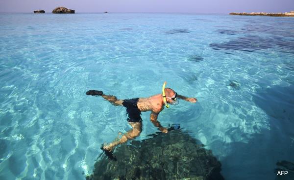Explained: Why Are Volunteers Guarding Oman's 'Unique' Coral Reefs Explained: Why Are Volunteers Guarding Oman's 'Unique' Coral Reefs