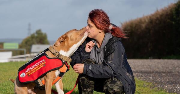 一名女子担心她的辅助犬会被带走，因为它是一只超大号的恶霸